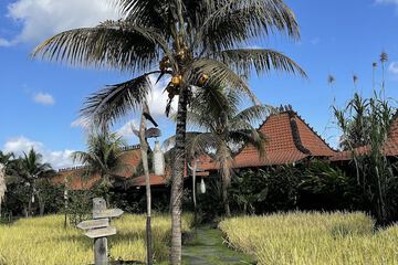 Land view from property