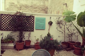 Terrace or Patio