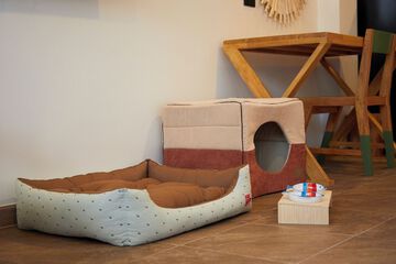 Pet-friendly amenities