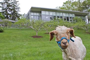 Land view from property