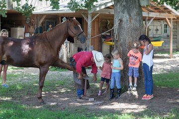 Childrens Activities 50 of 61