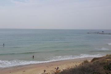Photo 35
