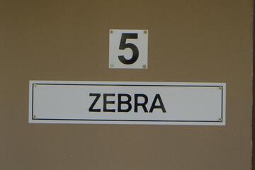 Photo 38
