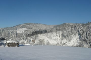 Land view from property