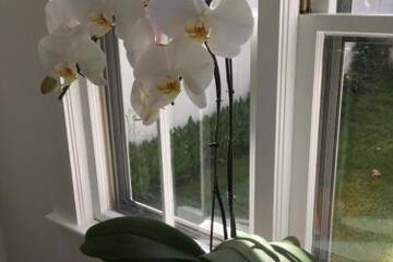 Photo 34