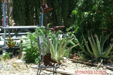 Photo 61