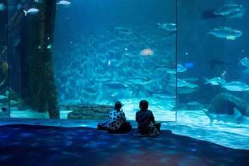 Children's activities