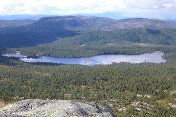 Photo 22