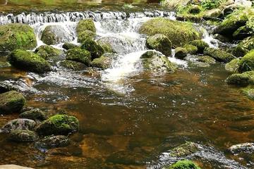 Photo 40