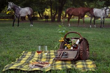 BBQ/picnic area