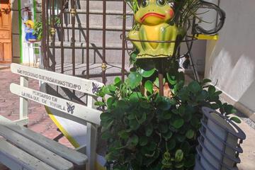 Photo 35