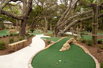 Mini-golf