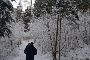 Hiking