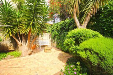 Terrace or Patio
