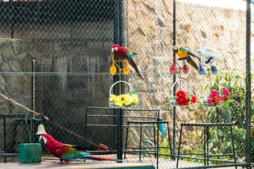 Children's play area - indoor