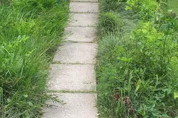 Photo 33