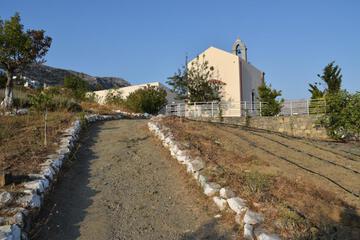 Photo 59