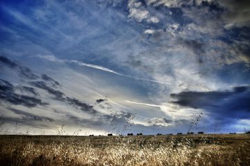 Land view from property