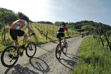 Bicycling