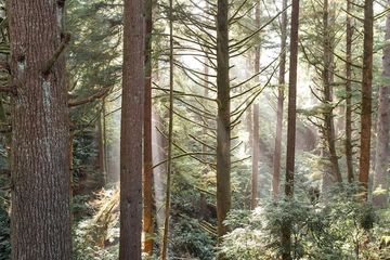 Outdoor Activities 117 of 121