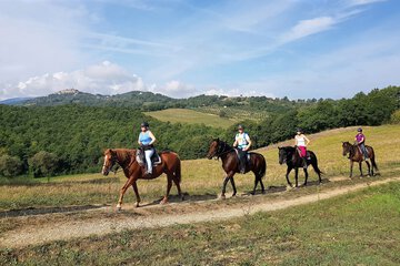 Horseback riding