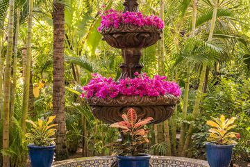 Fountain