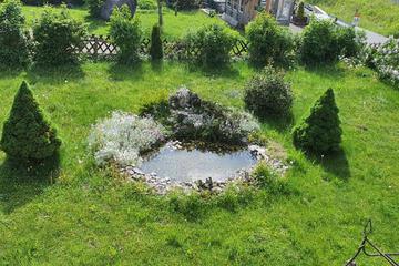 Photo 45
