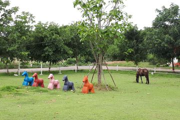 Sports facility
