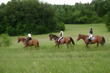 Horseback riding