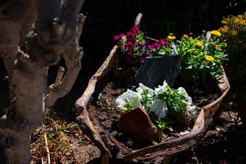 Photo 22