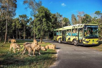 Safari
