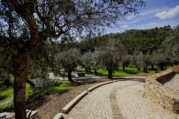 Photo 26