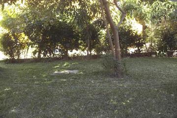 Photo 71