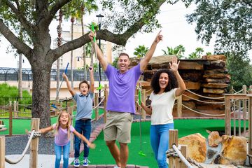 Mini-golf