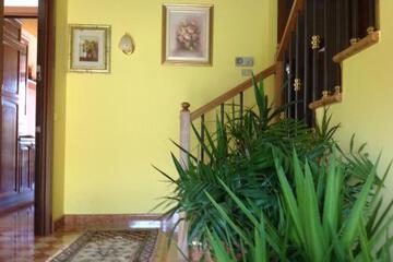 Photo 62