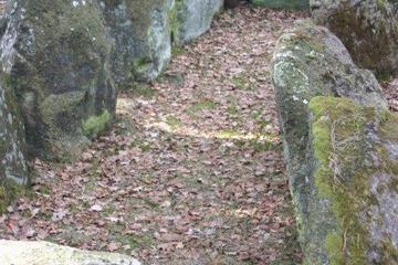 Photo 30