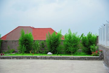 Day care