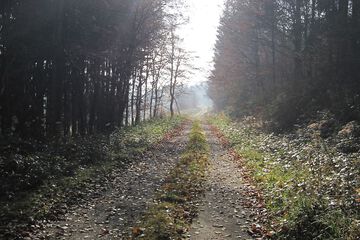 Hiking