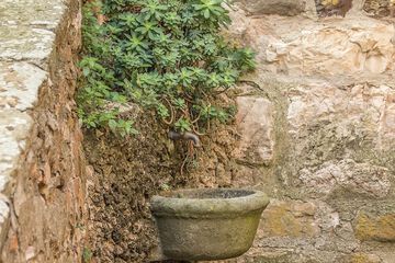 Fountain