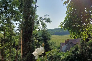 Land view from property