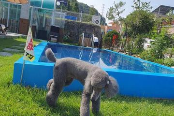 Photo 29