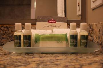 Bathroom amenities