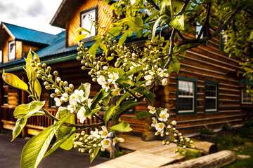 Dodge Peak Lodge