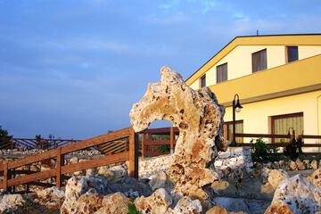 Photo 41