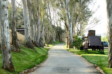 Property Grounds 126 of 126