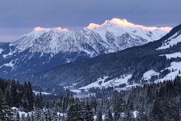 View from room