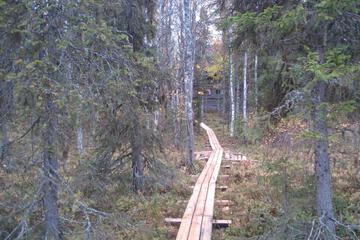 Photo 56