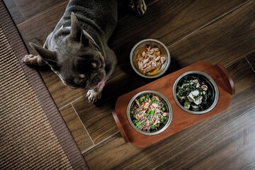 Pet-friendly amenities