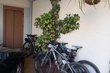 Photo 44