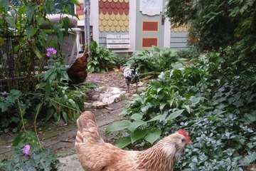 Hotel Exterior 82 of 87